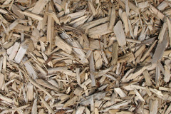 biomass boilers Grutness
